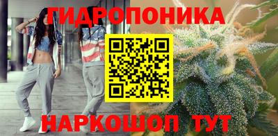 твердый Гусев
