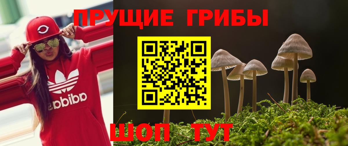 Псилоцибиновые грибы мухоморы Мичуринск
